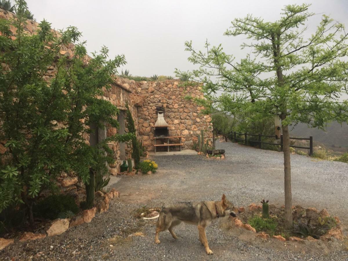 Cuevas El Torriblanco Konuk evi Gorafe Dış mekan fotoğraf